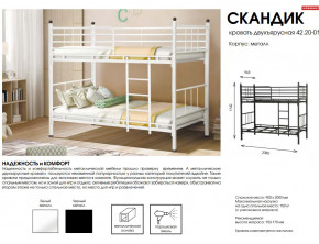 Кровать двухъярусная Скандик 42.20-01 в Катав-Ивановске - katav-ivanovsk.mebel74.com | фото 2